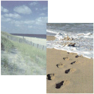 Delaware and Maryland Beach Real Estate